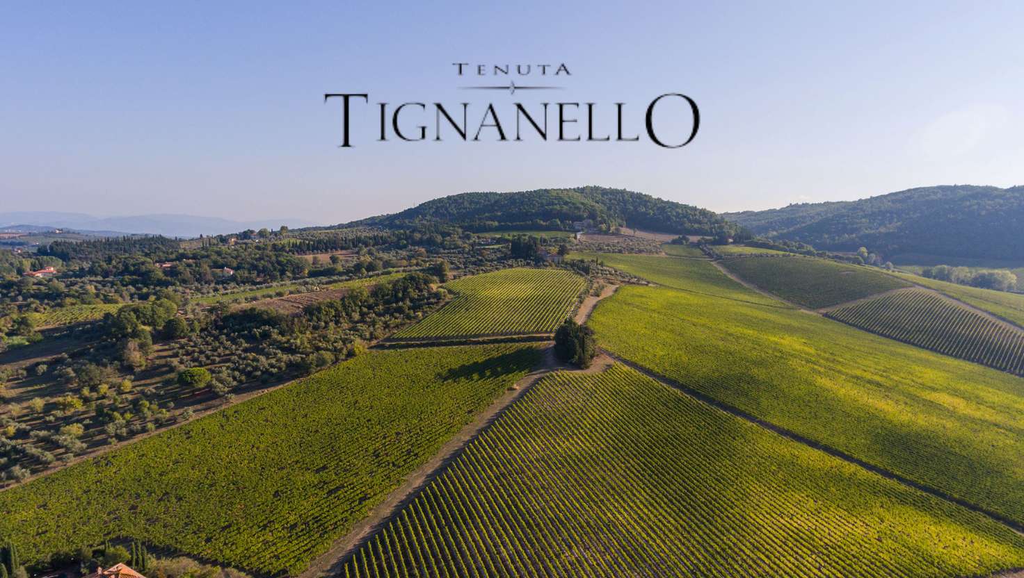 tignanello winery
